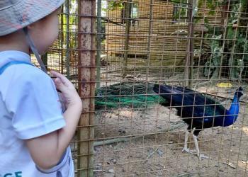 robertson-animal-resort-2019-21