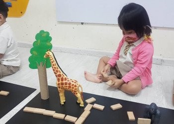kingsford-build-a-zoo-02