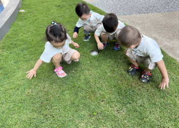 kingsford-nature-explorers-02