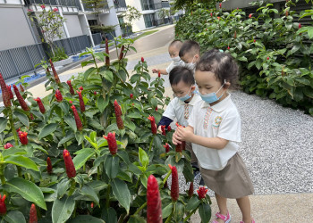 kingsford-nature-explorers-04