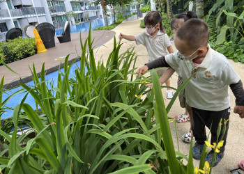 kingsford-nature-explorers-05