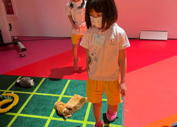 sengkang-2022-artscience-03