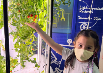 serangoon-2022-harvest-02
