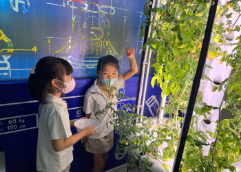 serangoon-2022-harvest-05