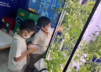 serangoon-2022-harvest-06