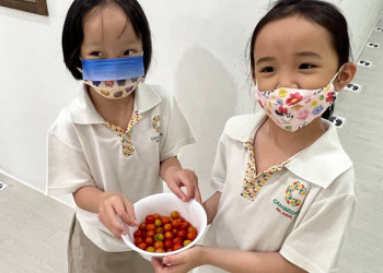 serangoon-2022-harvest-07