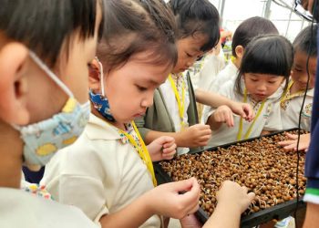 serangoon-farm-agriculture-05