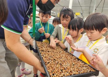 serangoon-farm-agriculture-06