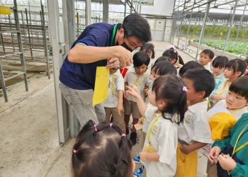 serangoon-farm-agriculture-08