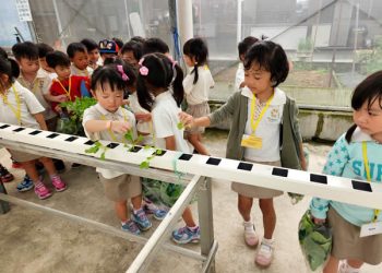 serangoon-farm-agriculture-09