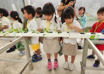 serangoon-farm-agriculture-10