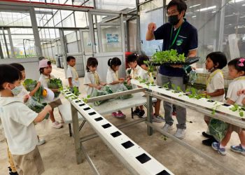 serangoon-farm-agriculture-11