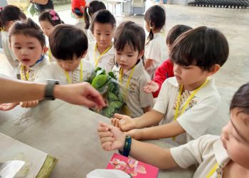 serangoon-farm-agriculture-13