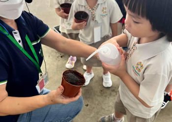 serangoon-farm-agriculture-14