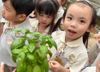 serangoon-farm-agriculture-21