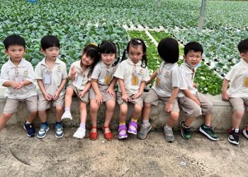 serangoon-farm-agriculture-24