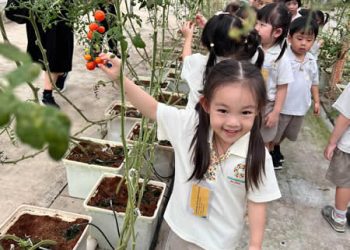 serangoon-farm-agriculture-25
