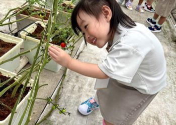 serangoon-farm-agriculture-27