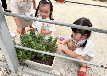 serangoon-farm-agriculture-28