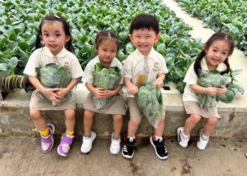 serangoon-farm-agriculture-32