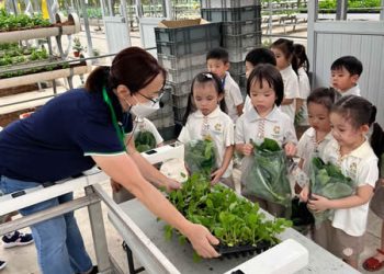 serangoon-farm-agriculture-33
