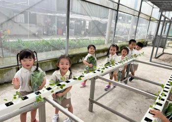 serangoon-farm-agriculture-36