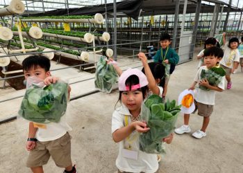 serangoon-farm-agriculture-37