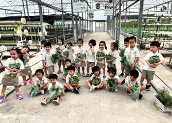 serangoon-farm-agriculture-38