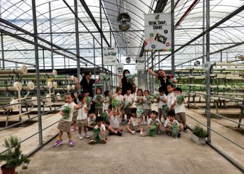 serangoon-farm-agriculture-39