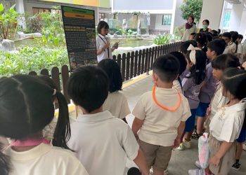 sengkang-visit-pri-school-02