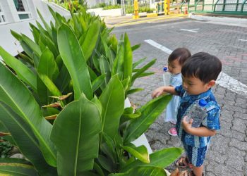 serangoon-world-water-day-07