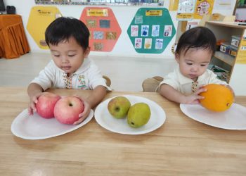 serangoon-fruits-exploration-11