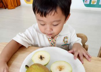 serangoon-fruits-exploration-13
