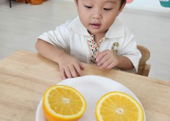 serangoon-fruits-exploration-14