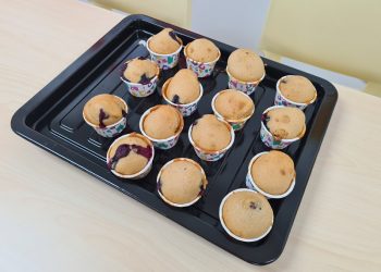 midwood-blueberry-muffins-20