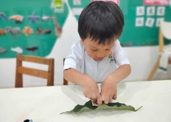 serangoon-gardens-leaf-cutout-art-04